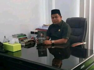 Atasi Krisis Listrik di Morut, Wakil Ketua DPW PKB Sulteng Minta Menteri BUMN Turun Tangan