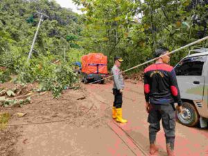 Wakapolres Morowali Utara turun langsung pantau lokasi longsor di Jalan Trans Sulawesi Desa Kolaka