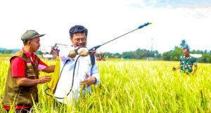 Pastikan Beras Aman, Mentan SYL Panen Padi dan Demonstrasikan Biosaka di Maros