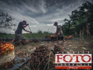 Pendaftaran APFI 2024 Resmi Dibuka