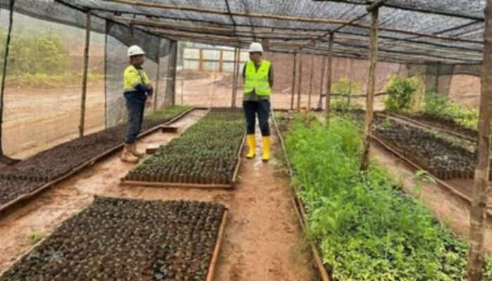 MIM dan GNI Komitmen Hijaukan dan Lestarikan Alam Morowali Utara