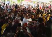 Ribuan Masyarakat Lambanau Sambut Kunjungan Ahmad Ali