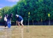 El Capitan Indonesia Tanam Ribuan Mangrove di Parigi Moutong