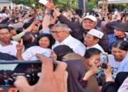 Jika Ahmad Ali Gubernur Sulteng, Hewan Ternak Juga Diasuransikan