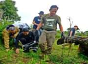 Komitmen PT Vale Menjaga Lingkungan Berkelanjutan