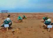 PT Trinusa Dharma Utama Dukung Pelestarian Lingkungan dan Keseimbangan Ekosistem Pesisir Pantai Soyojaya