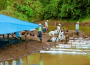 Pasca Kebocoran Pipa Minyak PT Vale Buka Posko Pengaduan