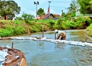 Warga Lioka Gotong Royong Pasca Kebocoran Pipa Minyak Vale