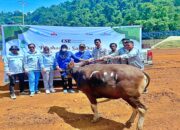 Jelang Iduladha 1447 Hijriah