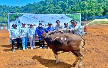 Jelang Iduladha 1447 Hijriah