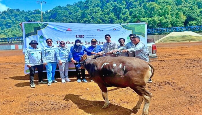 Jelang Iduladha 1447 Hijriah, PT GNI dan Tenant Kawasan Industri SEI Bagikan Sapi Kurban