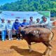 Jelang Iduladha 1447 Hijriah, PT GNI dan Tenant Kawasan Industri SEI Bagikan Sapi Kurban