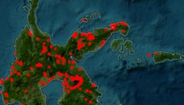 Karhutla Sulteng Melonjak, 4.147 Hektare Terbakar